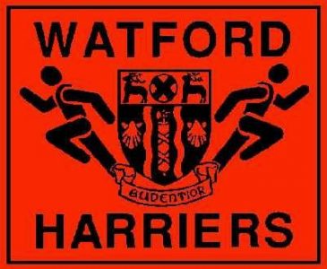 Watford Harriers Latest News